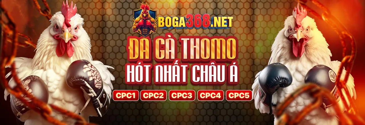 Banner khuyến mãi Live Casino Thabet